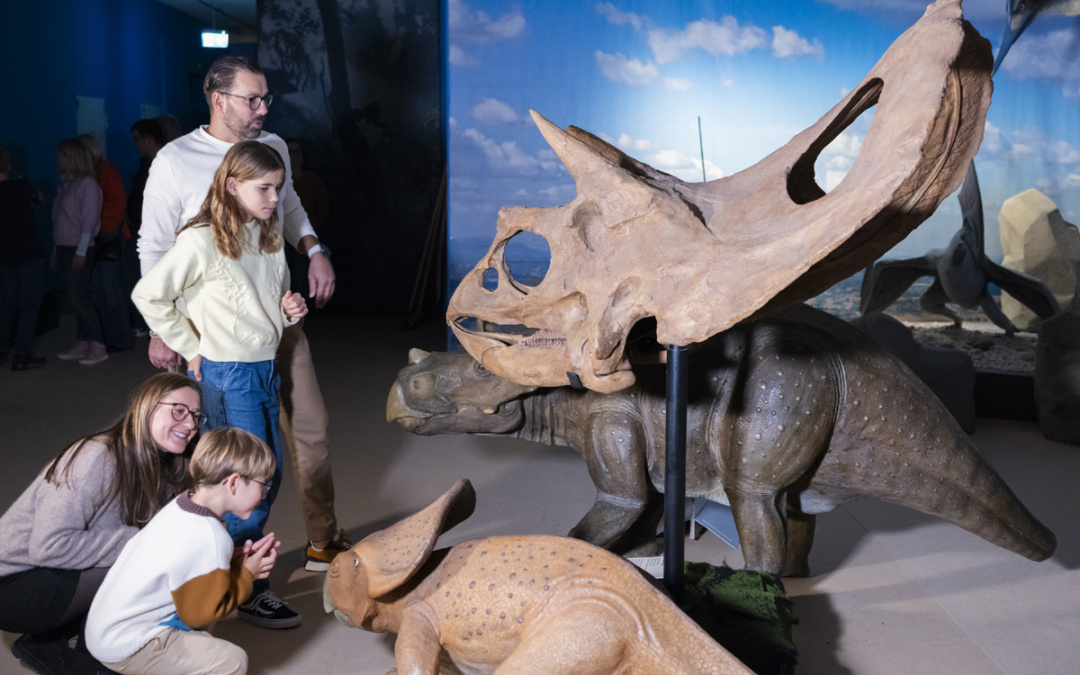 Auf Zeitreise bei den Sauriern