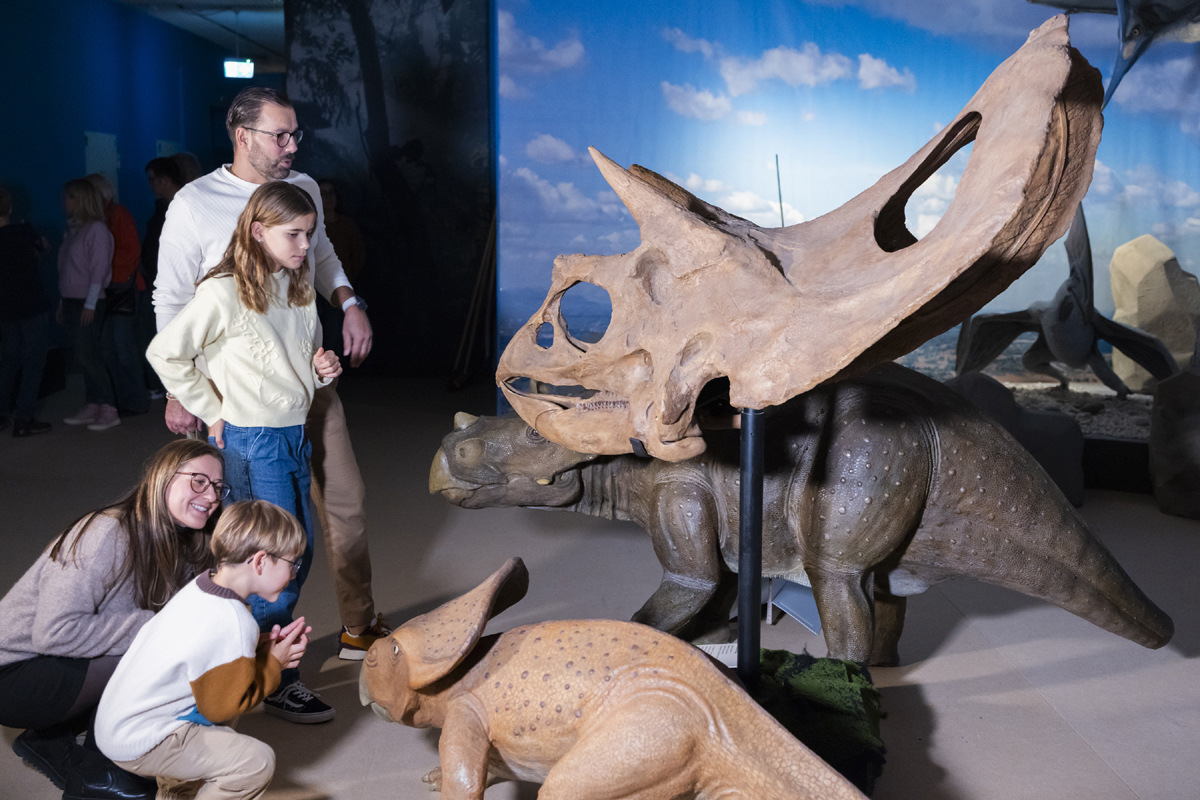 SAURIER300_Impression03_MSt Saurier