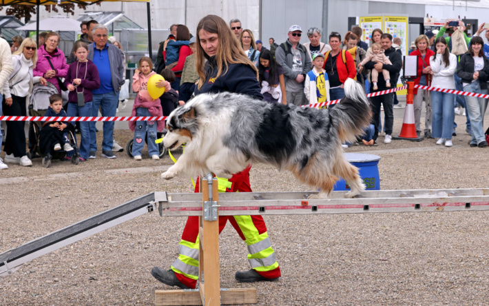 Tierische Begegnungen auf dem Maimarkt