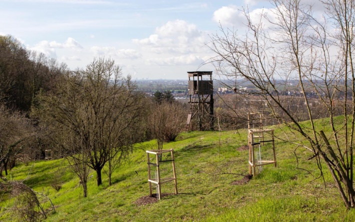 Blütenwegfest diesmal bis nach Hessen