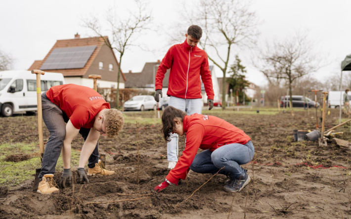 Waldinsel Mannheim-Schönau