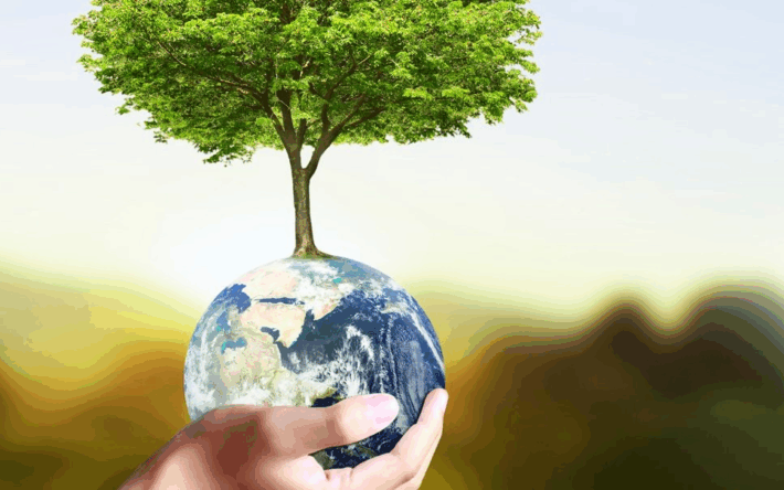 Stromanbieter wechseln ohne Bürokratie: Was Kunden bei PLAN B NET ZERO erwartet