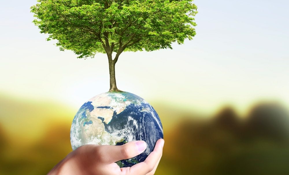 Stromanbieter wechseln ohne Bürokratie: Was Kunden bei PLAN B NET ZERO erwartet