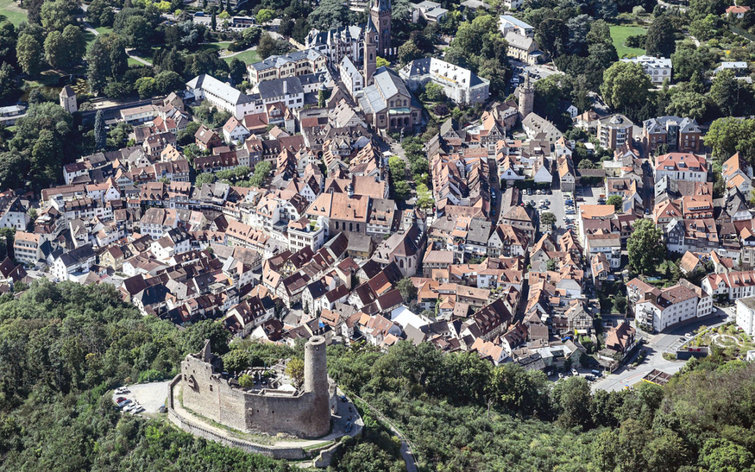 Tage der Demokratiegeschichte im Museum Weinheim
