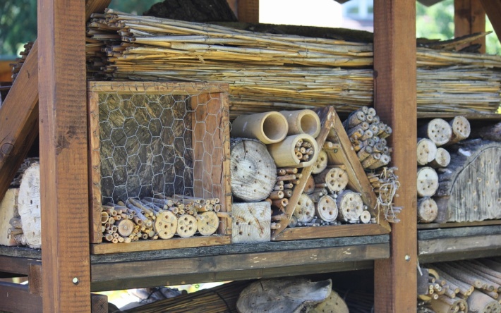 Für insektenfreundliche Mannheimer: Was ist ein Insektenhotel?