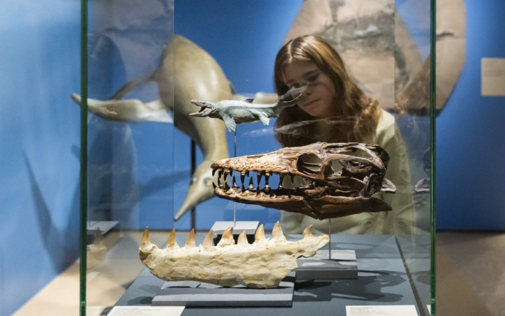 Internationaler Museumstag am 17. Mai