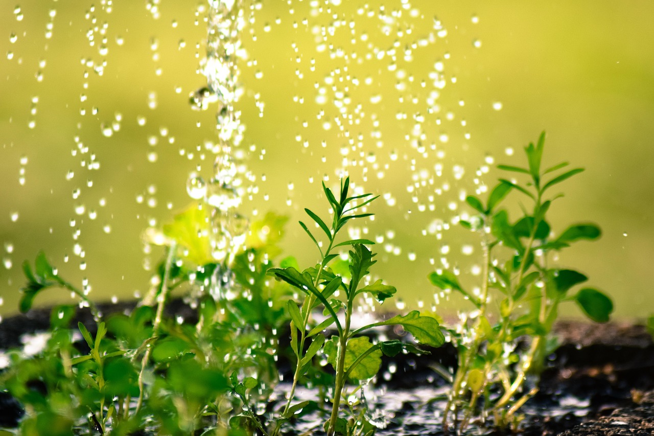 annawaldl-waterdrop-2342870_1280